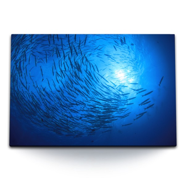 120x80cm Wandbild auf Leinwand Ozean Blau Fische Schwarmfisch unter Wasser