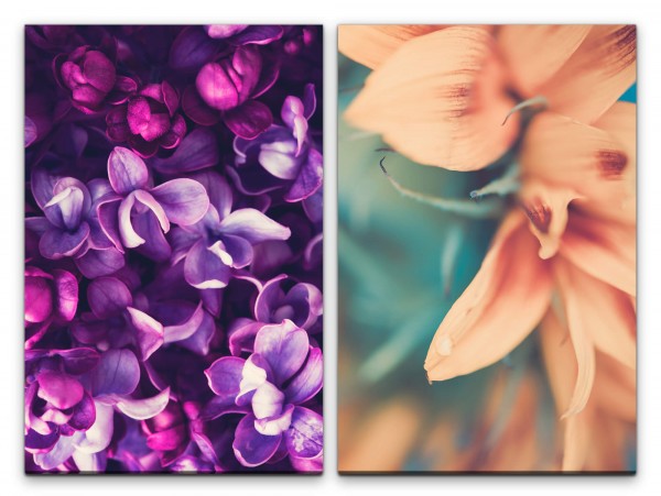 2 Bilder je 60x90cm Orchideen Blumen Blüten Duftend Sommer Zart Dekorativ
