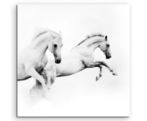 Künstlerische Fotografie – Zwei weiße Pferde auf Leinwand