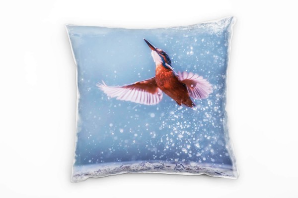 Tiere, fliegender Eisvogel, Wasser, grau, orange, blau Deko Kissen 40x40cm für Couch Sofa Lounge Zie
