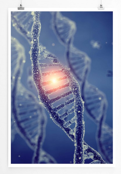 Medizinische Abbildung  DNA Doppelhelix Moleküle mit Chromosomen 60x90cm Poster