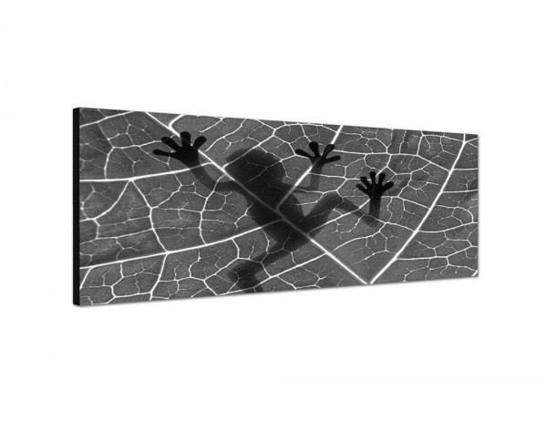150x50cm Blatt Frosch Silhouette Schatten