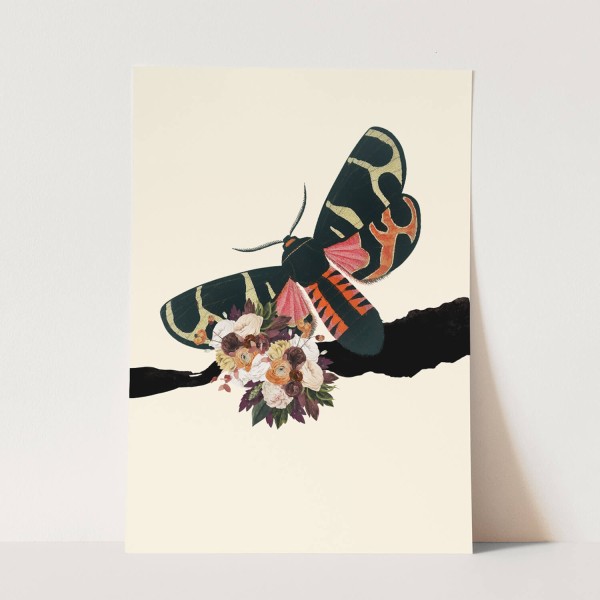 Wandbild Schmetterling Blumen exklusives Design Schwarz Beige