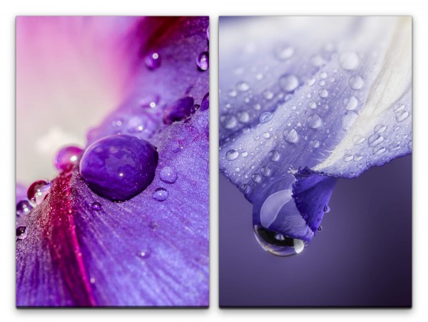 2 Bilder je 60x90cm Orchidee Blume Blüten Wassertropfen Violett Erfrischend Harmonisch