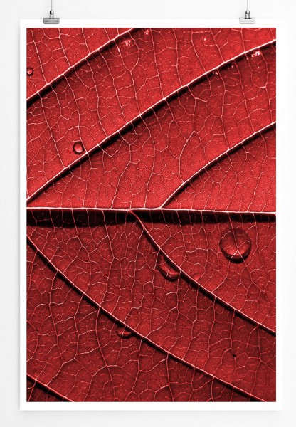 60x90cm Naturfotografie Poster Rotes Laubblatt in Makroaufnahme