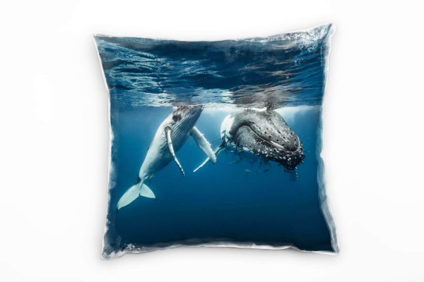 Tiere, Buckelwale, Unterwasser, grau, blau Deko Kissen 40x40cm für Couch Sofa Lounge Zierkissen