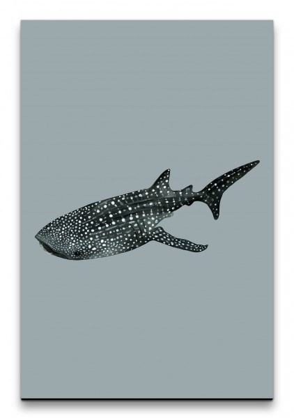 Walhai Schwarz Weiß Wasserfarben Modern Dekorativ