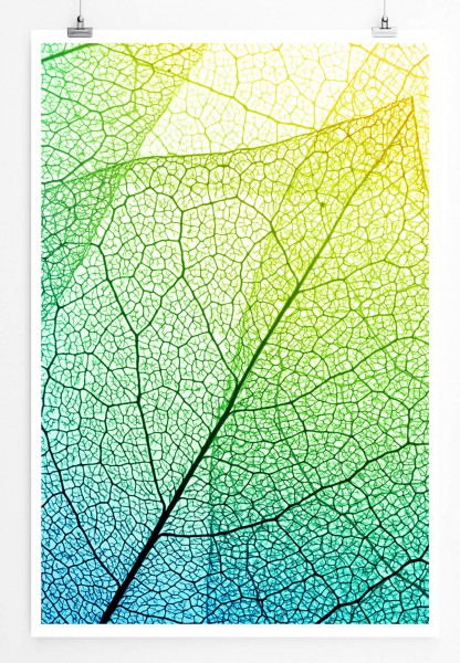 Blätter mit Netzstruktur 60x90cm Poster