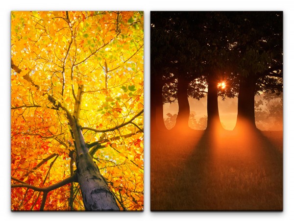 2 Bilder je 60x90cm Baum Baumkrone Herbst Abendröte warmes Licht Heilsam positive Energie