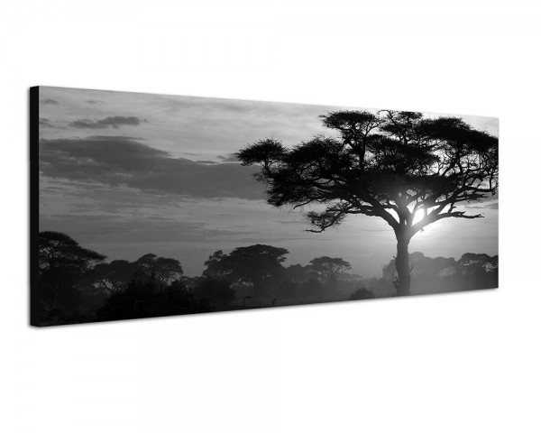 150x50cm Afrika Landschaft Bäume Sonnenuntergang