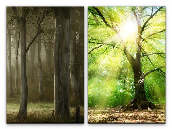 2 Bilder je 60x90cm Wald Baumkrone goldenes Licht Sonnenschein Friedlich Lichtstrahlen positive Ener
