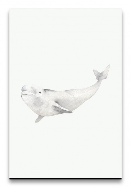 Weißwal Wal Ozean Wasserfarben Kunstvoll Hell Modern