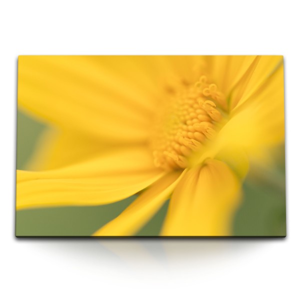 120x80cm Wandbild auf Leinwand Gelbe Blume Blüte Sommer Gelb Makrofotografie