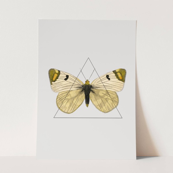 Wandbild Vintage Schmetterling Dreieck Design Kunstvoll