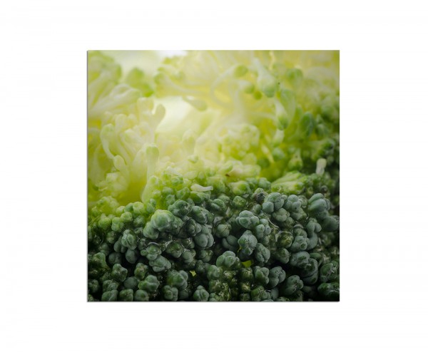 80x80cm Gemüse Brokkoli grün Nahaufnahme