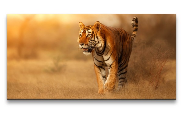 Leinwandbild 120x60cm Tiger Raubkatze schönes Tier Großkatze Kraftvoll