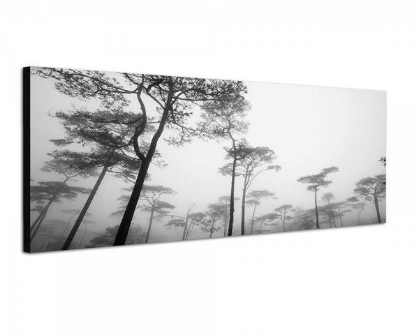 150x50cm Thailand Nationalpark Bäume Dunst Nebel