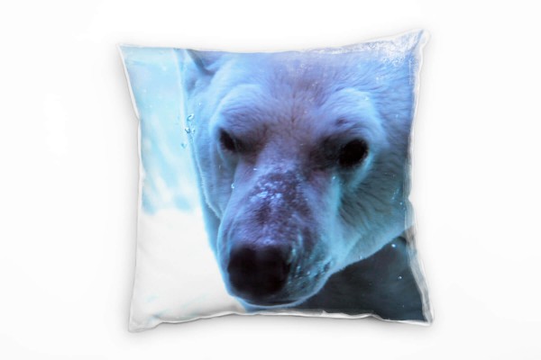 Tiere, Macro, Winter, Eisbär, blau, weiß, Gefahr Deko Kissen 40x40cm für Couch Sofa Lounge Zierkisse