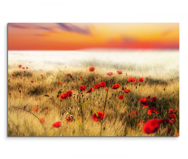 120x80cm Wandbild Mohnblumen Feld Sonne