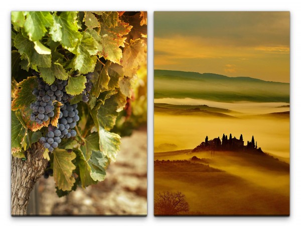 2 Bilder je 60x90cm Toskana Italien Weintrauben Weinreben Mediterran Hügel Morgentau