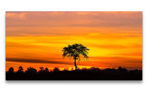 Leinwandbild 120x60cm Einsamer Baum Natur Abendröte Afrika roter Himmel