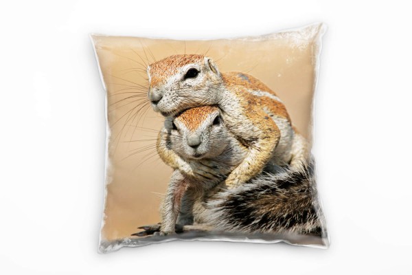 Tiere, braun, zwei spielende Eichhörnchen, Nah Deko Kissen 40x40cm für Couch Sofa Lounge Zierkissen