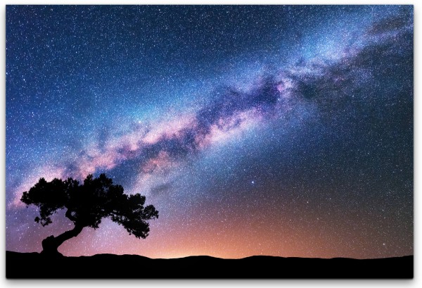 Baum mit Sonnenstrahlen und Milchstraße Wandbild in verschiedenen Größen