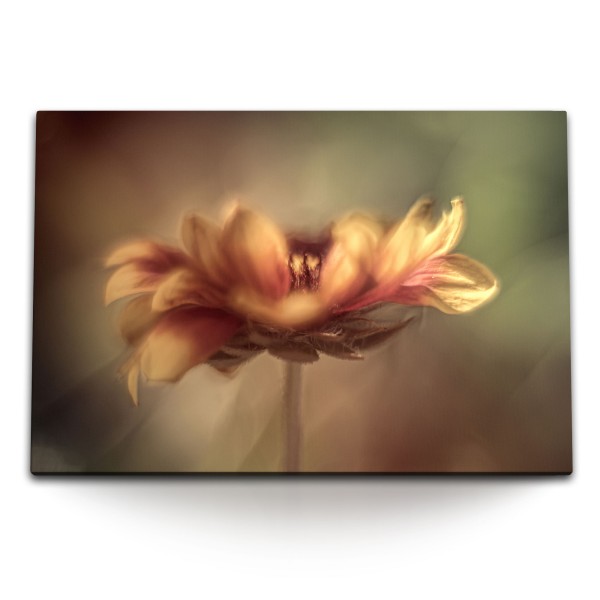 120x80cm Wandbild auf Leinwand Blume Blüte Brauntöne Fotokunst Natur
