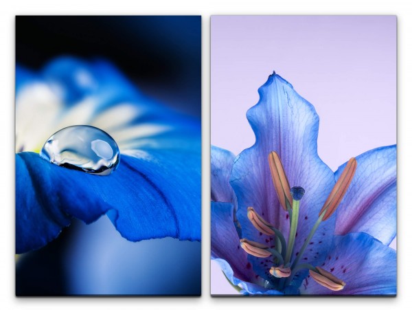 2 Bilder je 60x90cm Orchidee Wasserperle blaue Blüten Blumen Sanft Fotokunst Makrofotografie