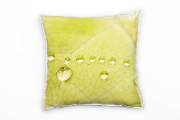 Macro, Natur, grün, Blatt mit Wassertropfen Deko Kissen 40x40cm für Couch Sofa Lounge Zierkissen
